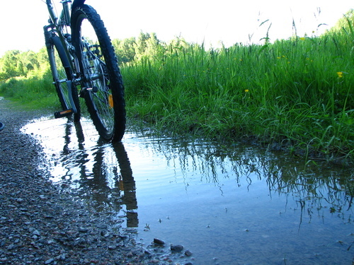 Cykling i Sverige