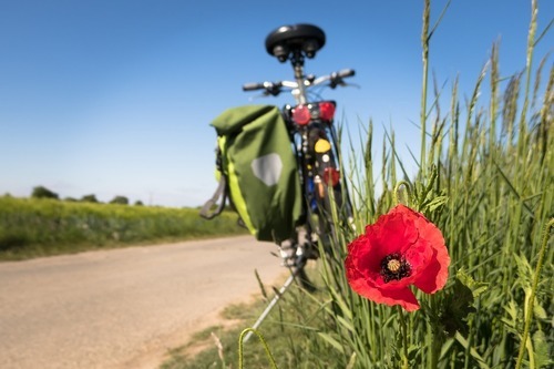 Ta med cykeln på semestern