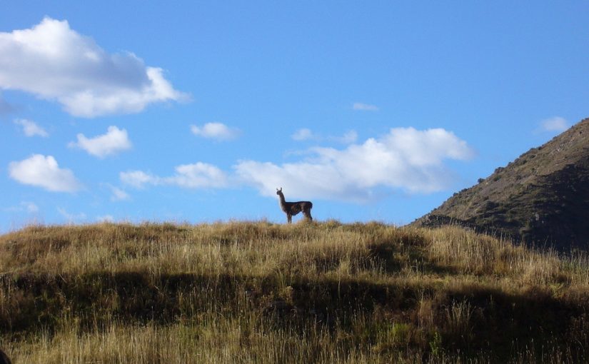 Med mountainbike i Peru